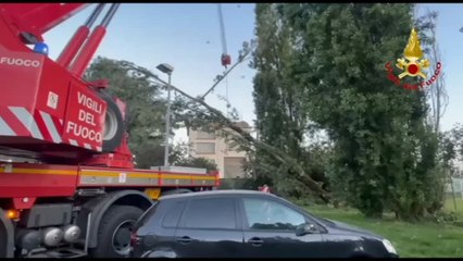 Maltempo in Lombardia, i vigili del fuoco al lavoro a Lodi