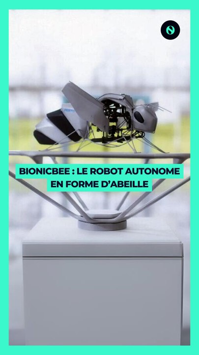  Bionicbee :  Un robot autonome en forme d’abeille 