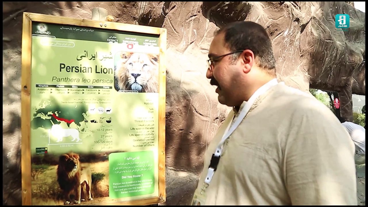 فیلم مستند ایرانی شیرهای فراموش نشدنی | Documentary Movie Unforgettable lions