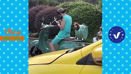 AWW New Funny Videos 2022  Cutest People Doing Funny Things  Part 19