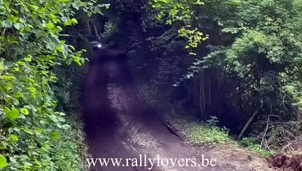 Ypres Rally 2024 SS09 Verstappen Big Crash