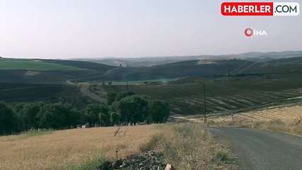 Diyarbakır ve Mardin'deki anız yangınında hayatını kaybedenlerin sayısı 14'e yükseldi