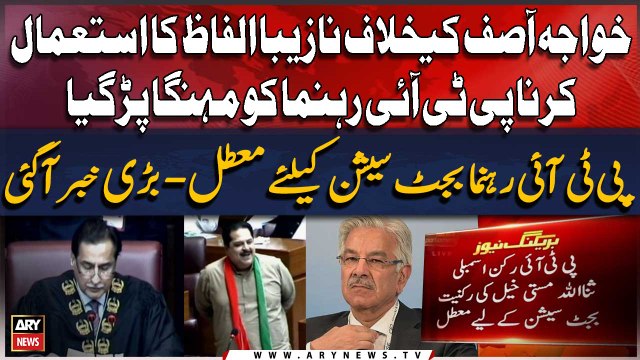 Sanaullah Khan Mastikhel’s NA membership suspended over ‘foul remarks’