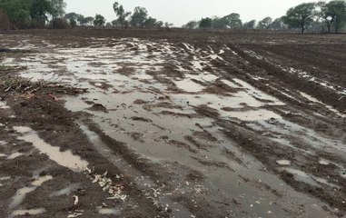 प्री-मानसून की बारिश ने कांठल ने भिगोया