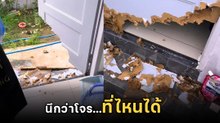 เจ้าของบ้านตกใจ ประตูหลังบ้านถูกงัด คิดว่าโจรขึ้นบ้านแต่พอจับตัวการได้... เอาไงดี ?