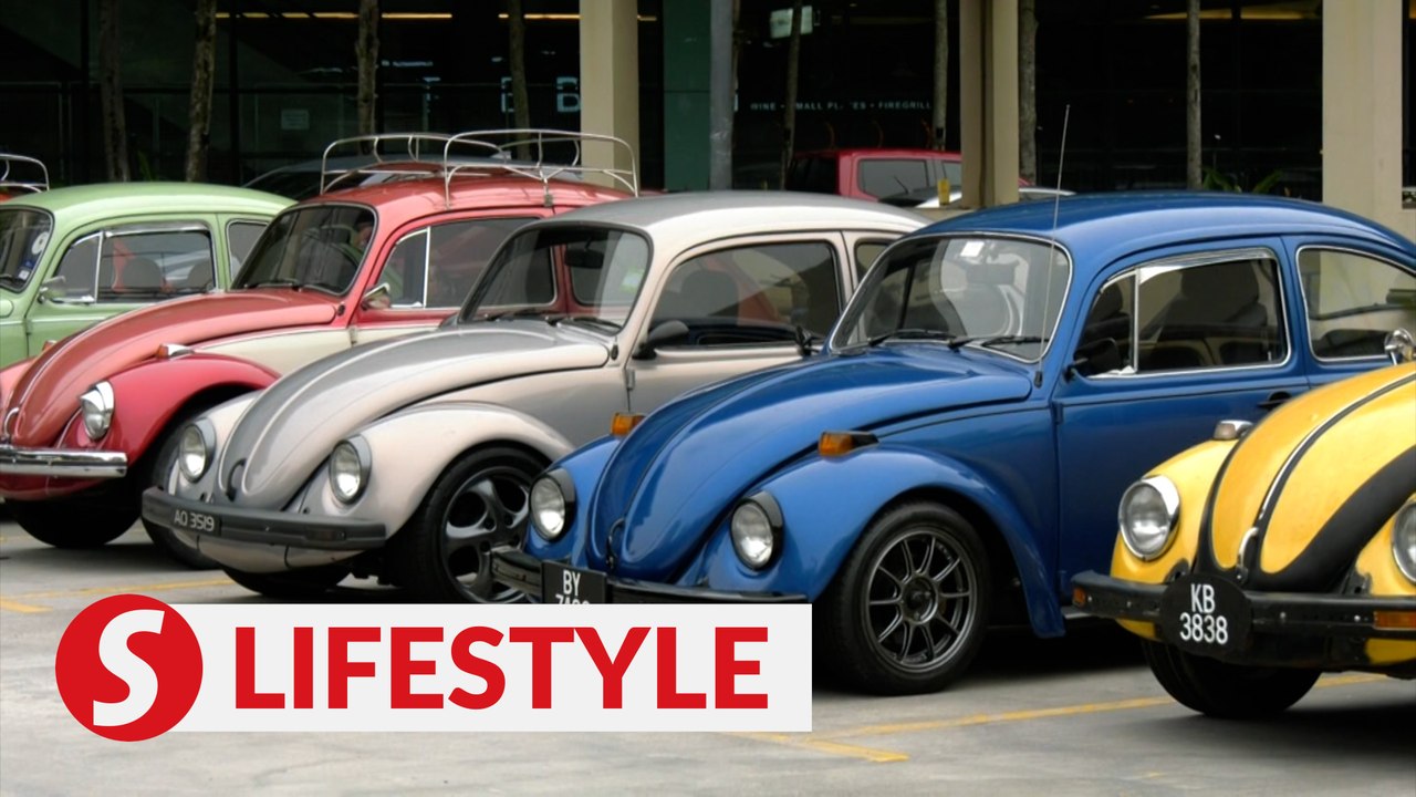 Worldwide VW Beetle Day