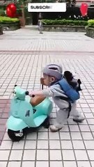 funny baby laughing ___ funniest baby video __ 601 (240p)