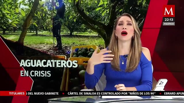 Productores de aguacate piden resolver suspensión de EU; destinarán cosecha a mercado nacional