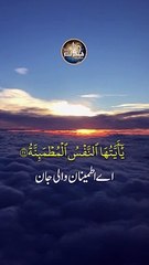 Short_Tilawat_e_Quran___Suraha_Al_Fajr____Ayat_27_To_30___Mohaddis_Media_in_2024(480P)