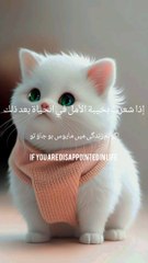 Surah al maidah ayat 159-160 #quran #verses