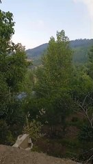 Watch the video and don't forget to follow