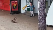 Girl starts quacking with fear as duck eyes the loaf of bread in her hands