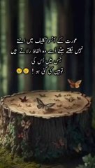 Sad poetry | deep lines status | quotes