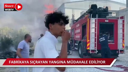 Скачать видео: Otluk alanda başlayan ve bir fabrikaya sıçrayan yangına müdahale ediliyor