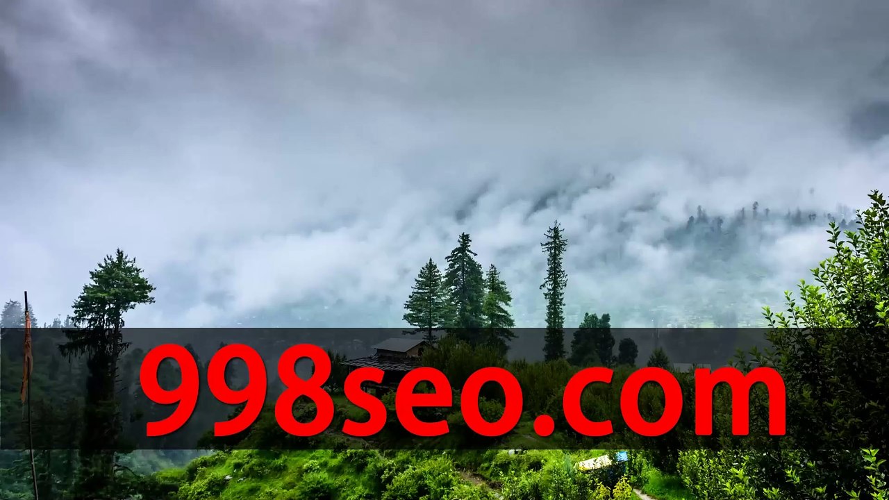 【998seo.com】google开户.txt