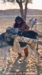 Traditional life pakistan