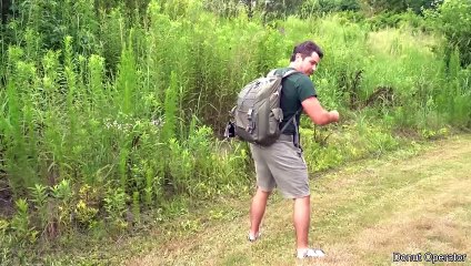 Tiger Chases Man On Motorcycle