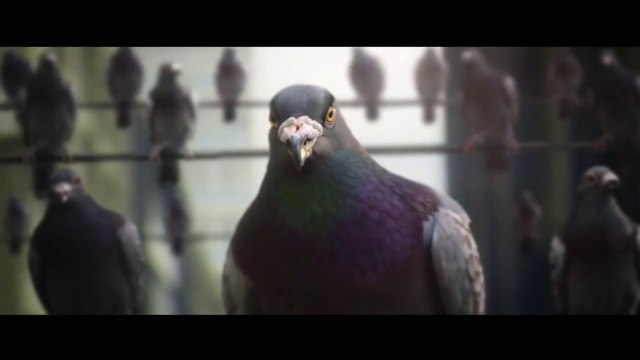 Pouvoir d'achat, sécurité, immigration: voici les thèmes qui compteront le plus dans le choix des Français aux élections législatives (sondage Elabe)