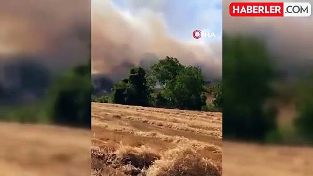 Tekirdağ'da alev alev yanan buğday tarlası küle döndü