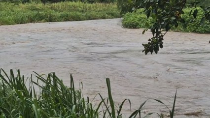 Fuertes lluvias generan crecidas de ríos en Coclé: Sinaproc pide extremar medidas de precaución