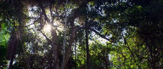 Abismo (Black Water-Abyss) | movie | 2020 | Official Trailer