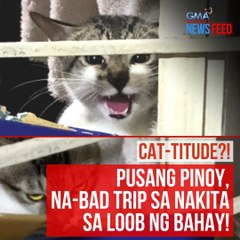 CAT-TITUDE?! Pusang Pinoy, na-bad trip sa nakita sa loob ng bahay! | GMA Integrated Newsfeed