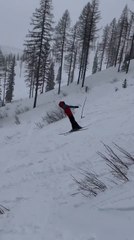 Skier Falls Miserably While Performing Backflip