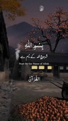 Sokon ke lie is surah ko 3 bar aanken band karke sun lejie sokon na mila tu batana #راحة_نفسية #عبد