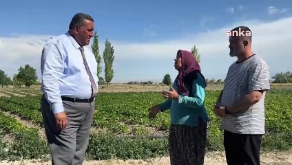 Çiftçi CHP'li Gürer'e dert yandı: Toprağa 40 senemi verdim, bir ev sahibi olamadım