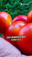 benefits of tomatoes