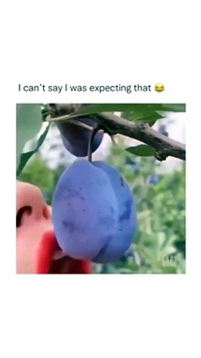 Oh no