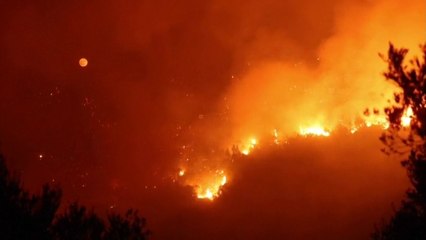 Los incendios en Grecia se cobran su primera víctima mortal en el Peloponeso.