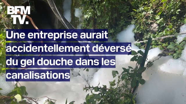 Saint-Genis-les-Ollières: de la mousse sort des bouches d'égout, une entreprise aurait accidentellement déversé du gel douche dans les canalisations