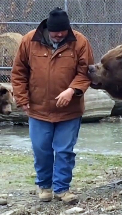 A love between a Kodiak bear and a human like you've never seen Um amor entre um urso de kodiak e um humano como você nunca viu Un amor entre un oso Kodiak y un humano como nunca has visto