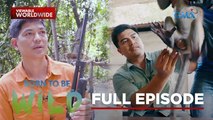 Tales of monkeys and insects in the Philippines (Full Episode) | Born to be Wild