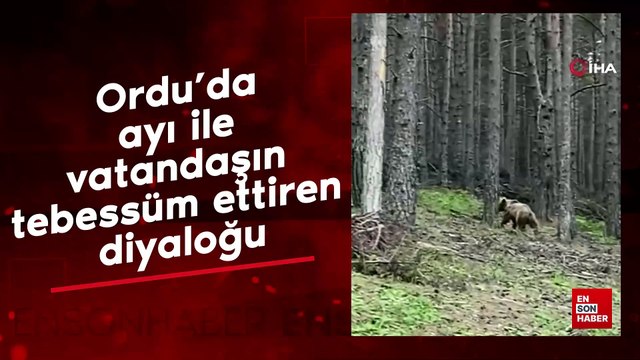Ordu’da ayı ile vatandaşın tebessüm ettiren diyaloğu