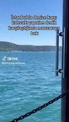 Menemen değil kazık yediriyorlar! İptal edin bunların ruhsatını