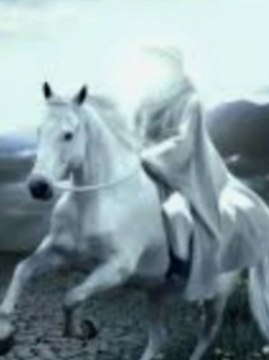 Hazrat Imam Mehdi k zahoor ki nishaniyan | short video | islamic shorts