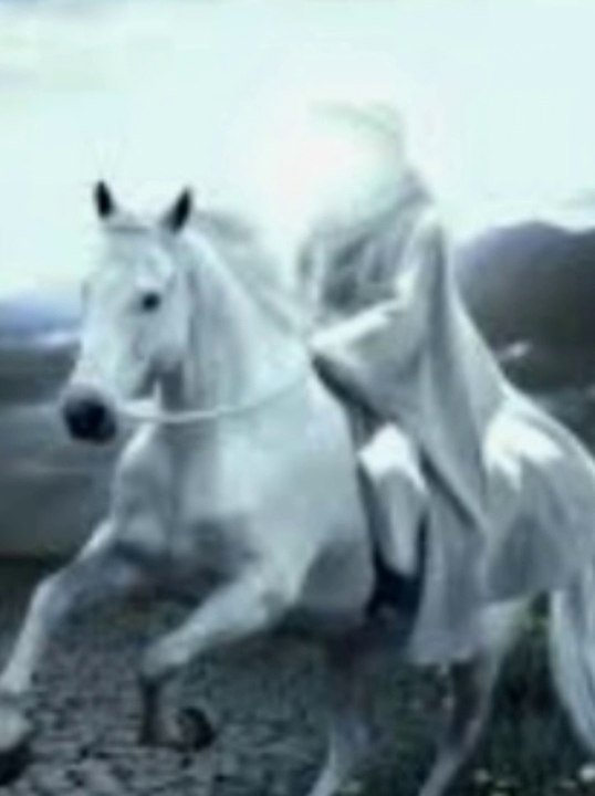 Hazrat Imam Mehdi k zahoor ki nishaniyan | short video | islamic shorts