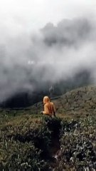 Talha Anjum Downer At Dusk Song