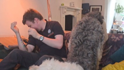 Sniffing out trouble: Sheepdog gives dad a sniff he won't forget