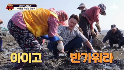 갯벌에 돼지 코가 있다? 바지락을 캐려면 바다의 '돼지'를 찾아라!