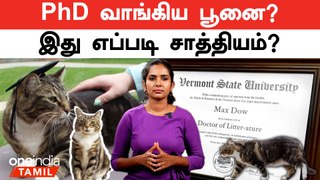 பூனைக்கு எப்படி PhD கிடைத்தது? | Oneindia Tamil