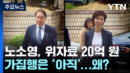 노소영, 위자료 20억 원 가집행은 '아직'...왜? / YTN