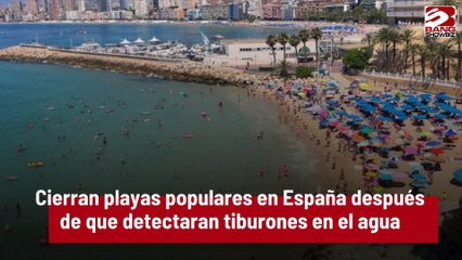 Cierran playas populares en España después de que detectaran tiburones en el agua