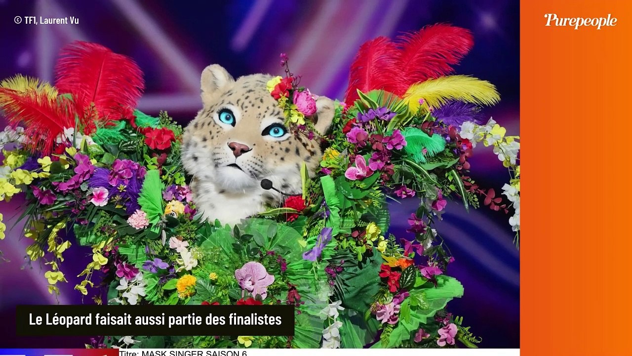 Mask Singer 2024 : Vainqueur, personnalités sous les costumes, enquêteurs... Les infos à retenir sur la saison 6