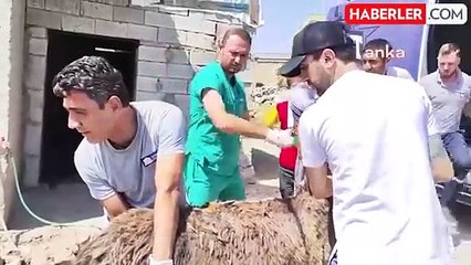 Beşiktaş Belediyesi Hayvan Ambulansları Yangın Sonrası Yaralı Hayvanlara Yardımcı Oldu