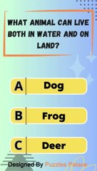 10 puzzles animals with a medium difficulty level (Part 1)