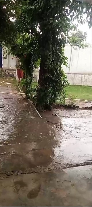 VID-20240621-WA0087