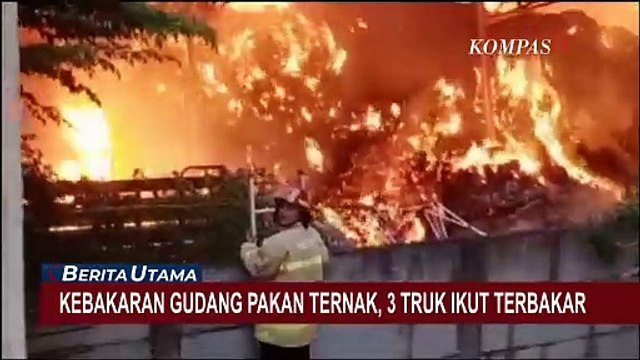 Akibat Kebakaran Gudang Pakan Ternak di Sidoarjo Sulit Dipadamkan, 3 Truk Ikut Terbakar